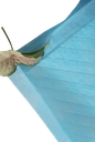 Underpad with water repellent